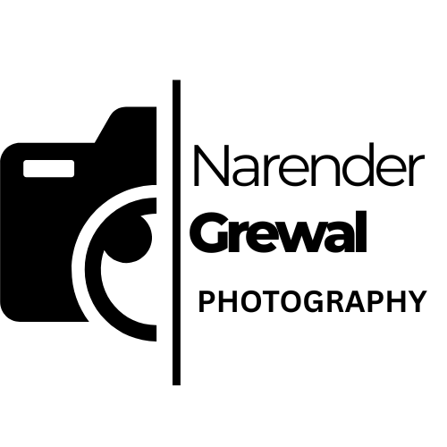 thefotoguru.com